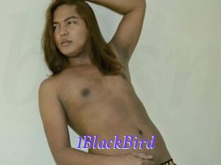 1BlackBird