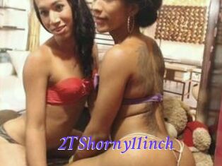 2TShorny11inch