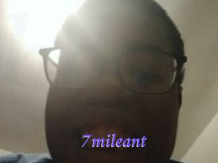 7mileant