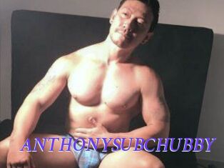 ANTHONYSUBCHUBBY