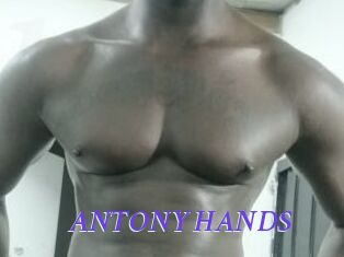 ANTONY_HANDS