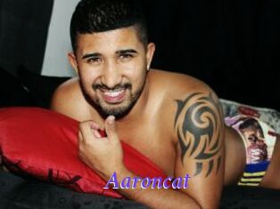 Aaroncat