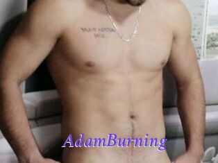 AdamBurning