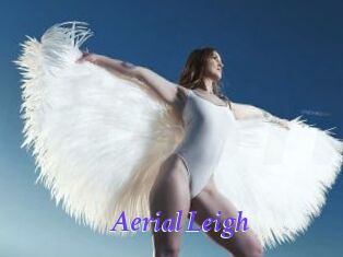Aerial_Leigh Bdsm gratuit