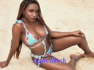 AgnesBush