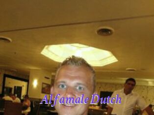 Alfamale_Dutch Bdsm gratuit