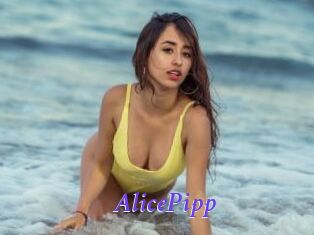 AlicePipp