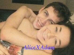 Alice_X_Adam