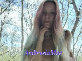 AmbrosiaMae