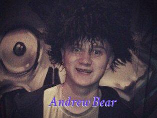 Andrew_Bear