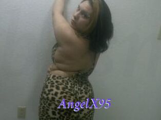 AngelX95
