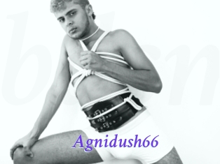 Agnidush66