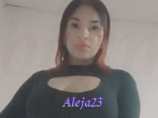 Aleja23