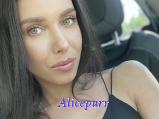 Alicepurr