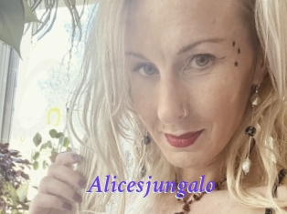 alicesjungalo Bdsm gratuit