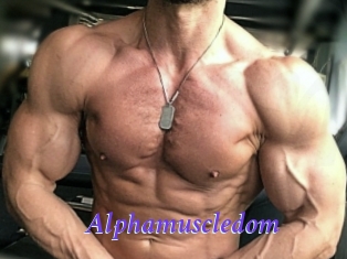 alphamuscledom Bdsm gratuit