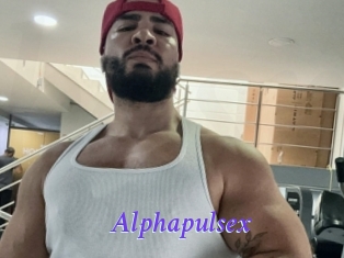 alphapulsex Bdsm gratuit