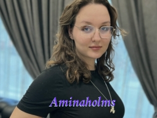 Aminaholms