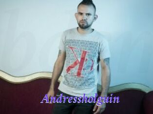 Andressholguin