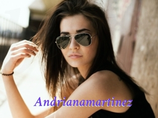 Andrianamartinez