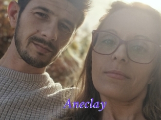Aneclay