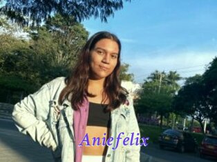 Aniefelix