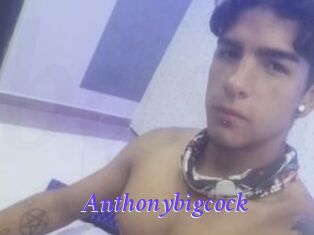 Anthonybigcock