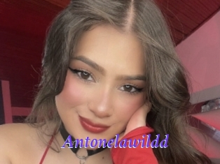antonelawildd Bdsm gratuit