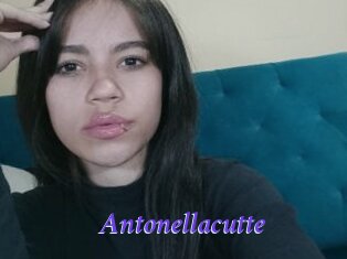 Antonellacutte