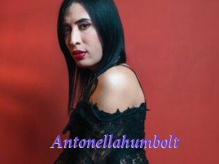 Antonellahumbolt