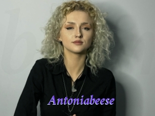 Antoniabeese