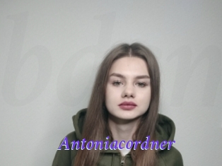 Antoniacordner