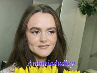 Antoniadudley