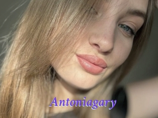 Antoniagary
