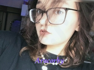 Aracorby