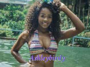 Ashleybirdy