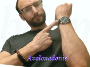 Avalonadonis