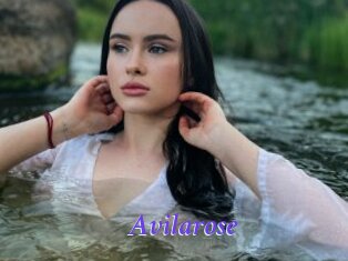 Avilarose