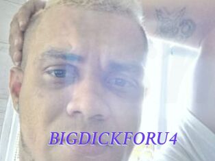 BIGDICKFORU4