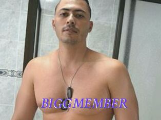 BIGGMEMBER Bdsm gratuit