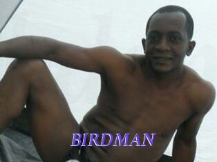 BIRDMAN Bdsm gratuit