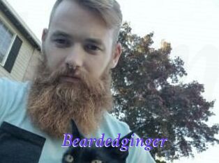 Beardedginger