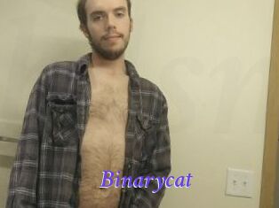 Binarycat