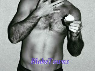 BlakeTowns