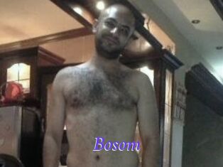 Bosom