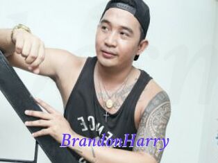 BrandonHarry Bdsm gratuit