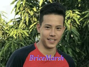 BriceMarsh Bdsm gratuit