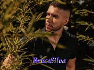 BruceSilva