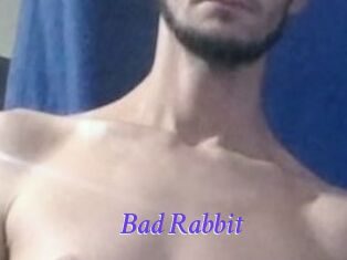 Bad_Rabbit