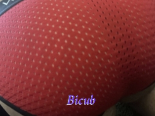 Bicub